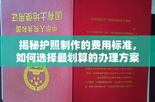 横栏揭秘护照制作的费用标准，如何选择最划算的办理方案？