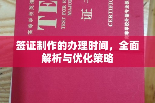 横栏签证制作的办理时间，全面解析与优化策略